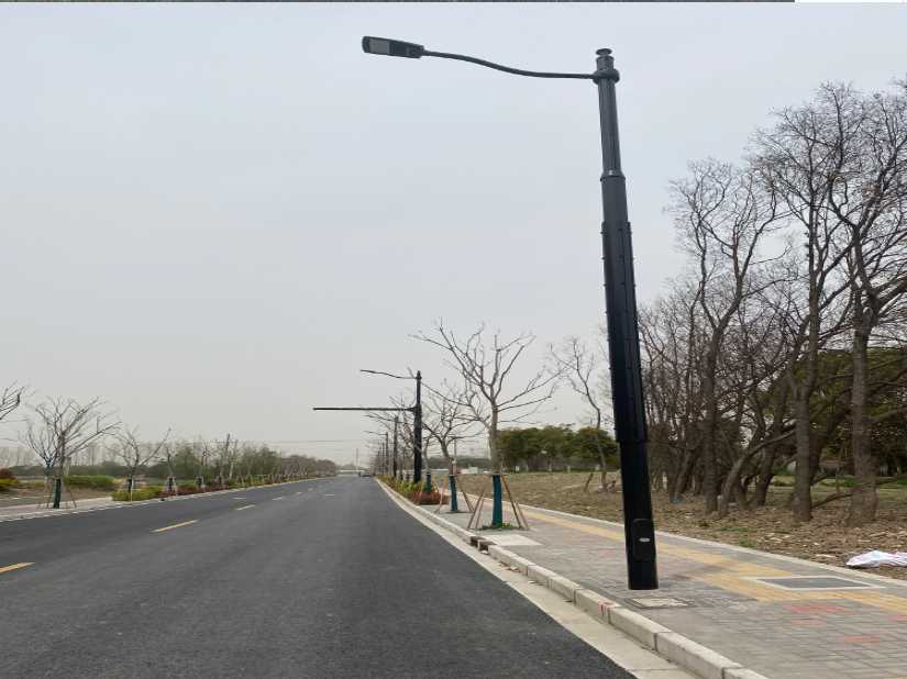 漾濞彝族自治县上海综合杆 太阳能路灯工程